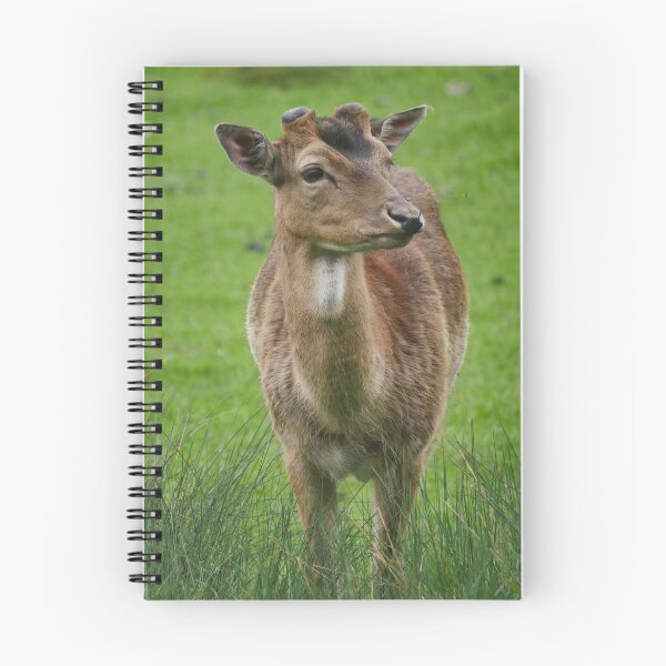 Item preview, Deer in a meadow designed and sold by MichaelMauerer.
