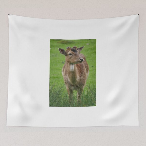 Item preview, Deer in a meadow designed and sold by MichaelMauerer.