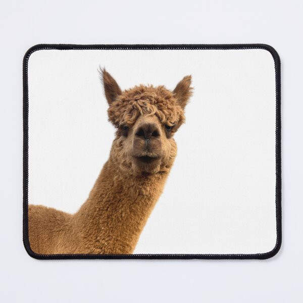 Item preview, Levi the alpaca designed and sold by Leo's Alpaca store.