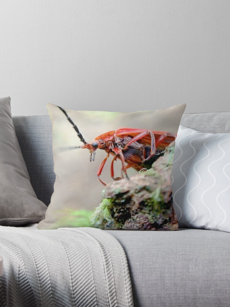 Item preview, Throw Pillow designed and sold by DaogreerEarth.