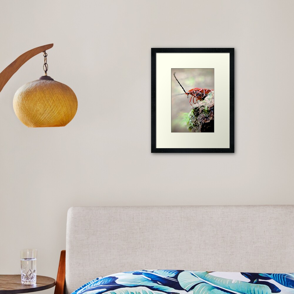 Item preview, Framed Art Print designed and sold by DaogreerEarth.