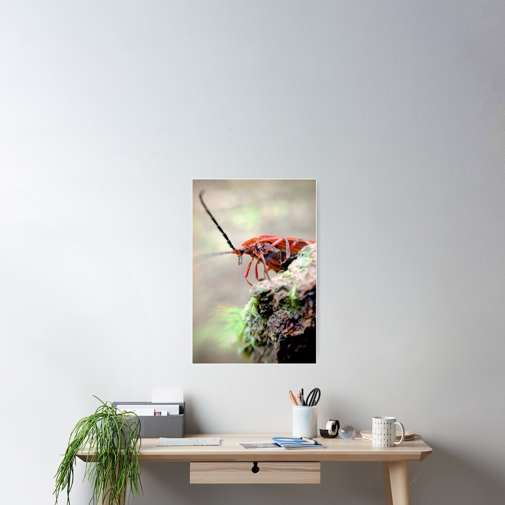 Item preview, Poster designed and sold by DaogreerEarth.