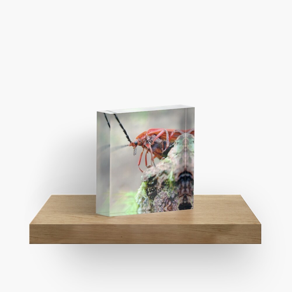 Item preview, Acrylic Block designed and sold by DaogreerEarth.