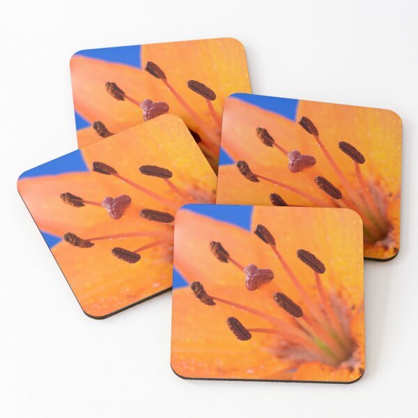 Item preview, Lilium  'Orange Pixie'  Dwarf Asiatic lily  designed and sold by Chris Burrows.