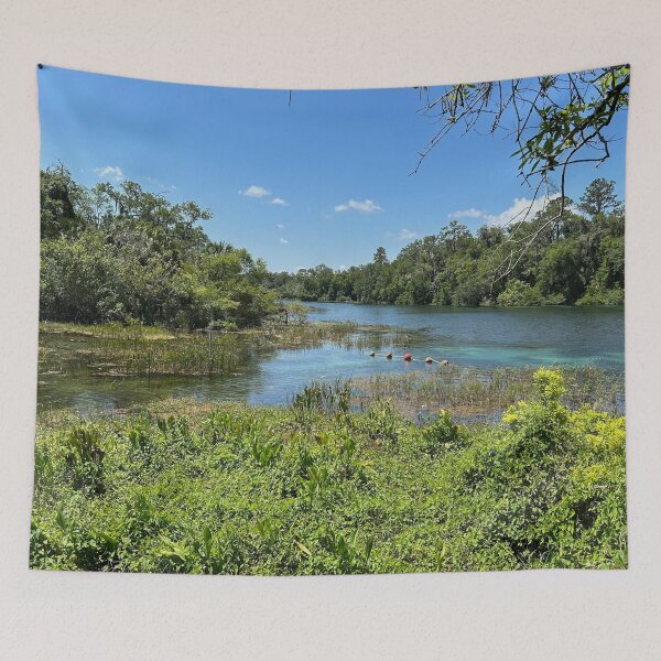 Item preview, Rainbow River, Dunnellon, Florida designed and sold by TheArtCave.
