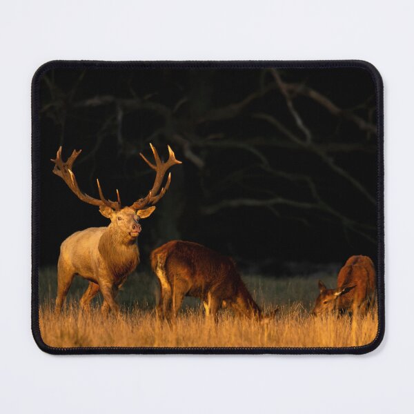 Item preview, Crown Deer in Rut. designed and sold by FormigaArt.