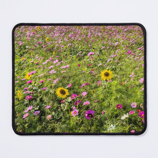 Item preview, Cosmos & Sunflowers designed and sold by Japaholic.