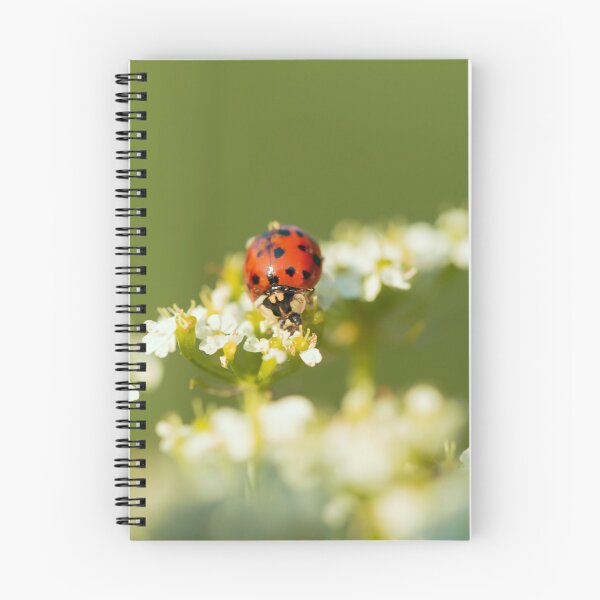Item preview, Ladybug enjoying life designed and sold by KAY Artists.
