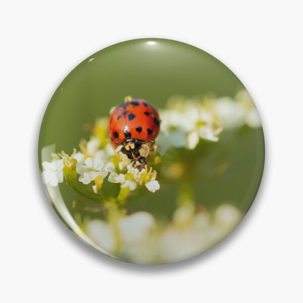 Item preview, Ladybug enjoying life designed and sold by KAY Artists.