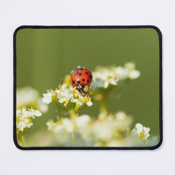 Item preview, Ladybug enjoying life designed and sold by KAY Artists.
