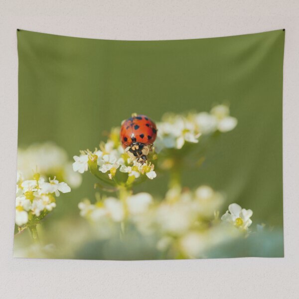 Item preview, Ladybug enjoying life designed and sold by KAY Artists.