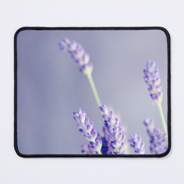 Item preview, Bushes of Lavender designed and sold by KAY Artists.