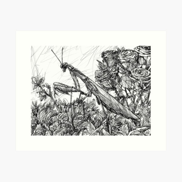 Item preview, PRAYING MANTIS ink painting.1 designed and sold by lautir.