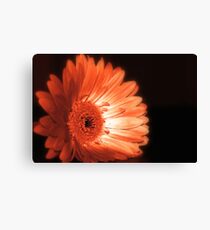 Drama Canvas Print