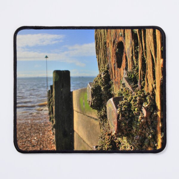 Item preview, Barnacles designed and sold by Vicki Spindler (VHS Photography).
