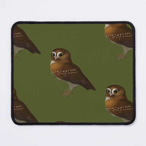 Item preview, Eurasian pygmy owl designed and sold by Maragil.