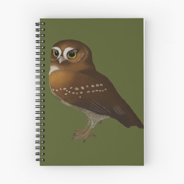 Item preview, Eurasian pygmy owl designed and sold by Maragil.
