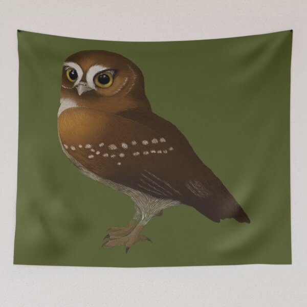 Item preview, Eurasian pygmy owl designed and sold by Maragil.