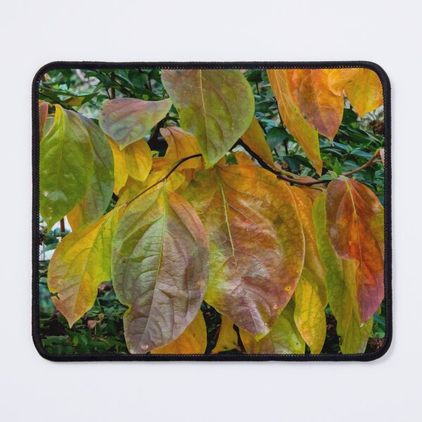 Item preview, Persimmon Leaves designed and sold by Eileen McVey.