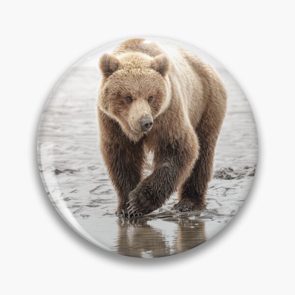 Item preview, Brown Bear on the Hunt 2 Alaska designed and sold by PhotoArt by Joan Carroll.