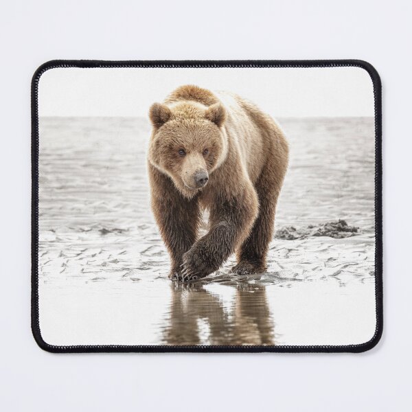 Item preview, Brown Bear on the Hunt 2 Alaska designed and sold by PhotoArt by Joan Carroll.