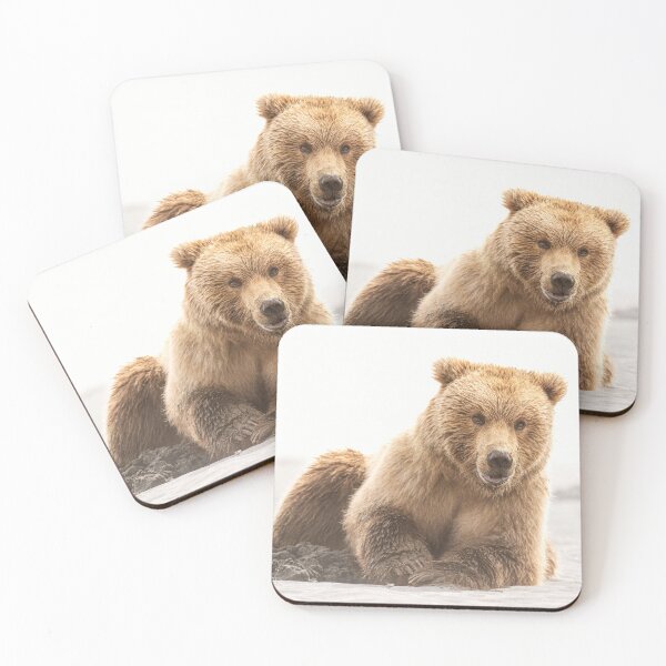 Item preview, Brown Bear Digging for Clams Alaska 3 designed and sold by PhotoArt by Joan Carroll.