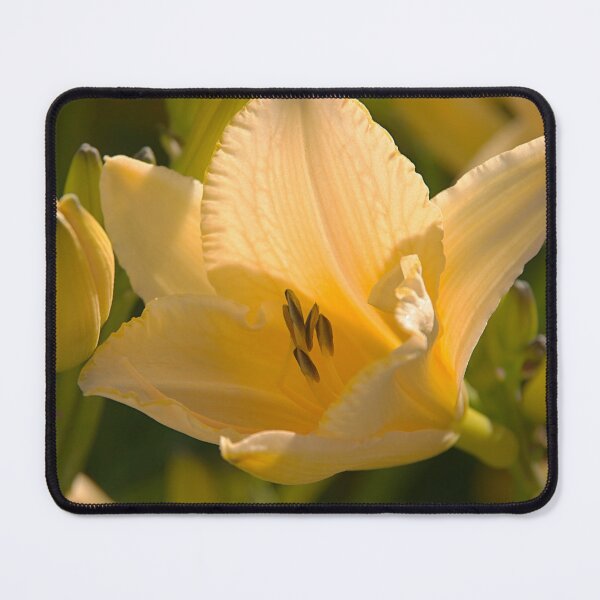 Item preview, Yellow flower designed and sold by Babbler01.