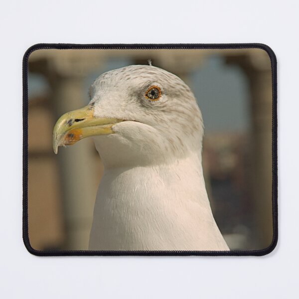 Item preview, gull designed and sold by Babbler01.