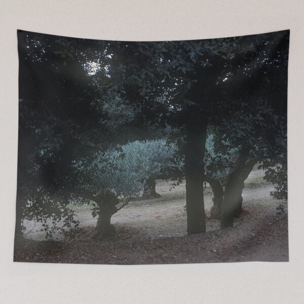 Item preview, Parc Natural del Montseny, Spain 2012 designed and sold by Michel Meijer.