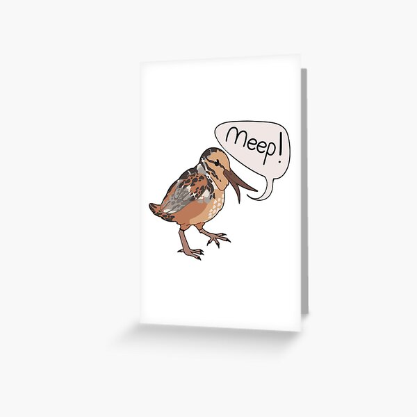 Artikel-Vorschau von Die amerikanische Waldschnepfe, designt und verkauft von Mr-Ducks-Hut.