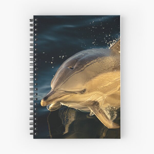 Item preview, Dolfhin Bay of Biscay. designed and sold by FormigaArt.