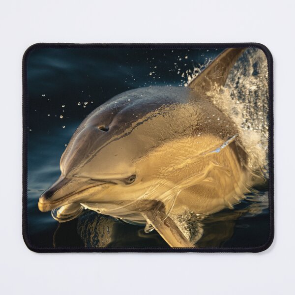 Item preview, Dolfhin Bay of Biscay. designed and sold by FormigaArt.