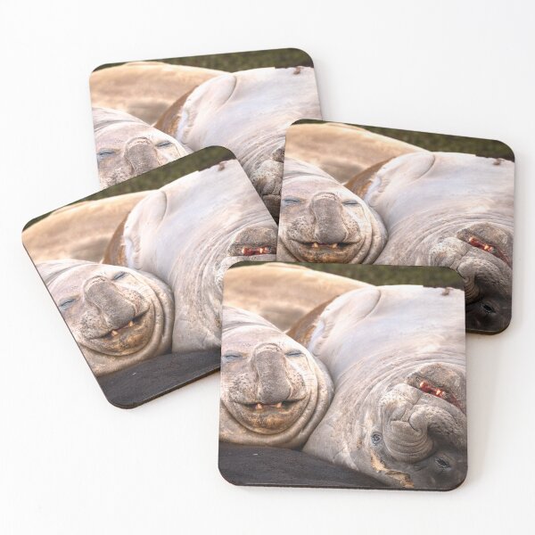 Item preview, Two laughing Sea Elephants. designed and sold by FormigaArt.