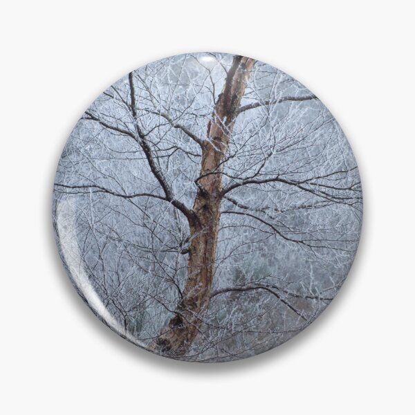Item preview, Winter Birch designed and sold by Macrae images.
