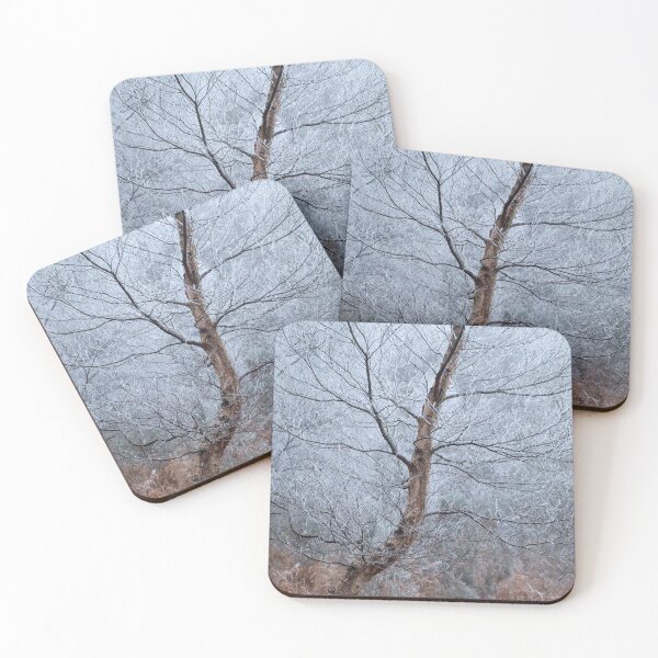 Item preview, Winter Birch designed and sold by Macrae images.