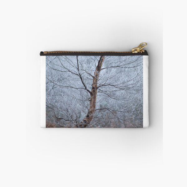 Item preview, Winter Birch designed and sold by Macrae images.