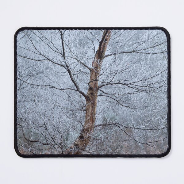 Item preview, Winter Birch designed and sold by Macrae images.