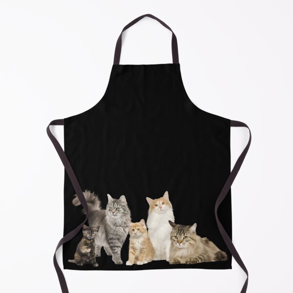 Item preview, Cats, meme, seneor , 2024 , logo,cat, Graduate designed and sold by Eagle-Eyes.