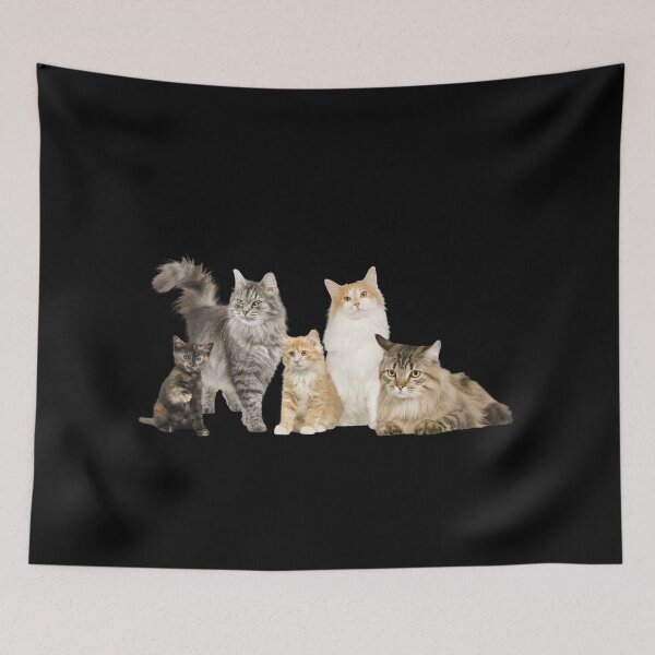 Item preview, Cats, meme, seneor , 2024 , logo,cat, Graduate designed and sold by Eagle-Eyes.