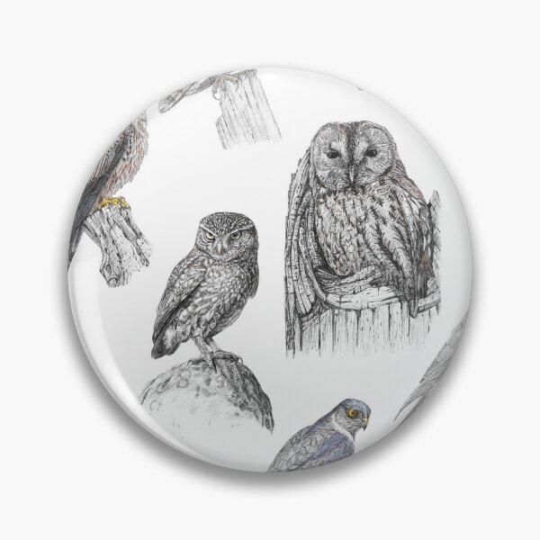 Item preview, British Birds of Prey designed and sold by BensWildlifeArt.