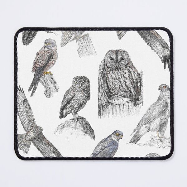 Item preview, British Birds of Prey designed and sold by BensWildlifeArt.