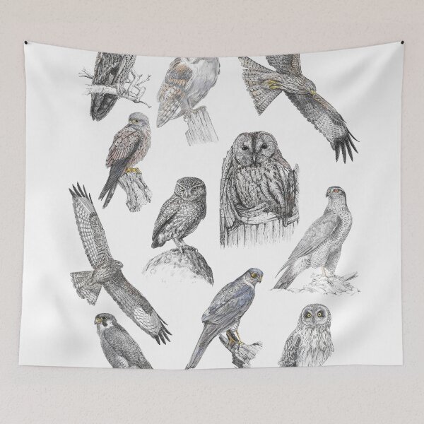 Item preview, British Birds of Prey designed and sold by BensWildlifeArt.