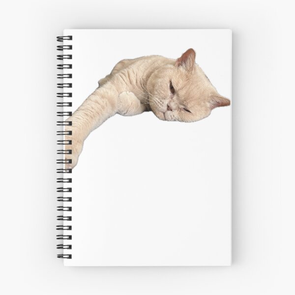 Aperçu de l'œuvre Yoga British Shorthair - chat créée et vendue par SebSun.