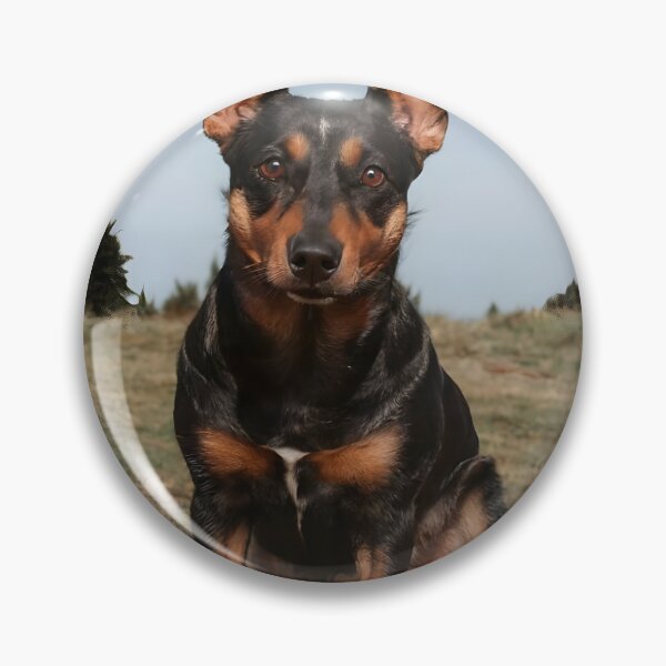 Artikelvorschau, Lancashire Heeler entworfen und verkauft von KeyDesignDecor.