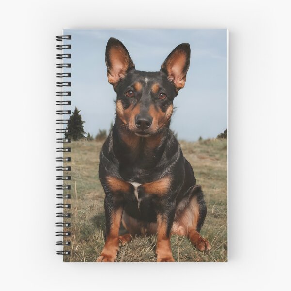 Artikelvorschau, Lancashire Heeler entworfen und verkauft von KeyDesignDecor.