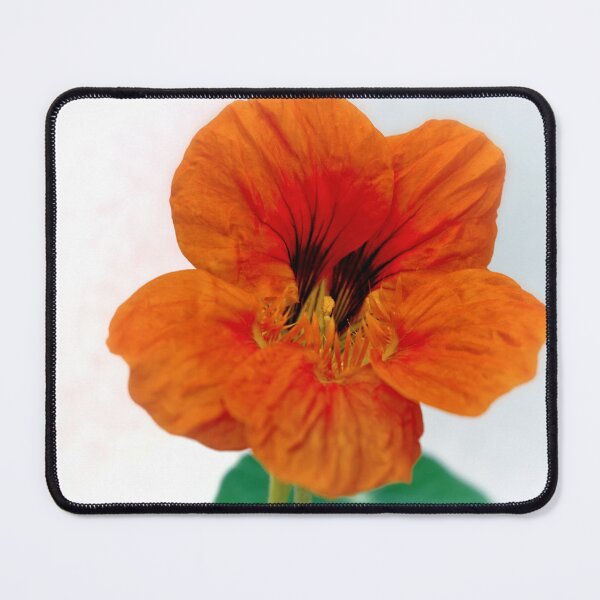 Item preview, Portrait of a Nasturium designed and sold by Kasia Design.