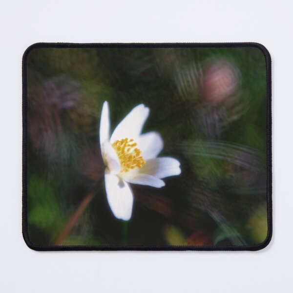 Item preview, Spotlight on the Wood Anemone designed and sold by Kasia Design.