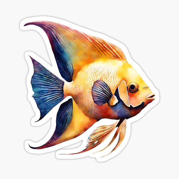 Artikel-Vorschau von Kaiserfisch, designt und verkauft von Fashon1.