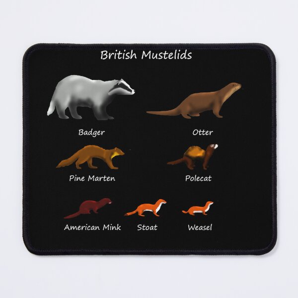 Item preview, British Mustelids - Mammals designed and sold by SteveEvansArt.