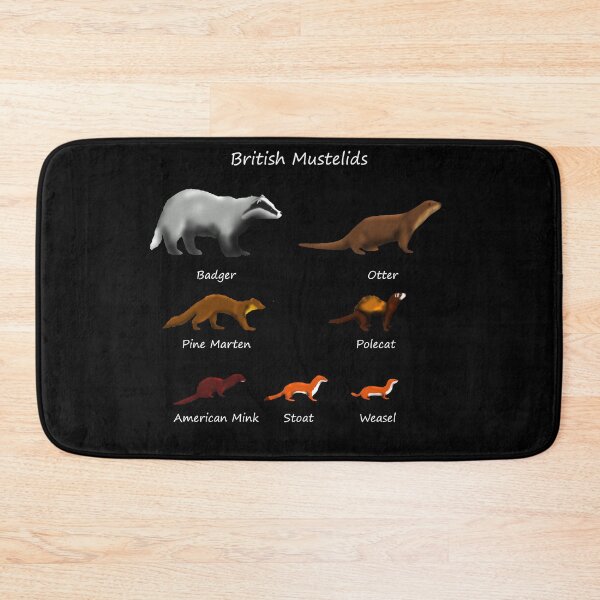 Item preview, British Mustelids - Mammals designed and sold by SteveEvansArt.